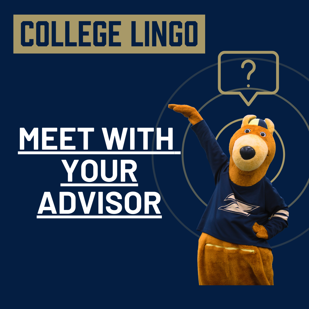 MEET WITH ADVISOR.png
